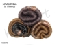 Preview: Adventskalender, Schokobraun & Nuance - Trend Herbst/Winter 2026